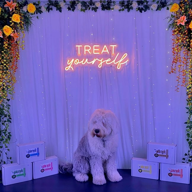pet store custom neon sign, instagram photo backdrop