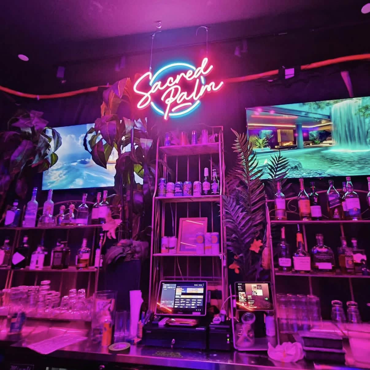 Sacred Palm bar decor business neon signs in Columbus