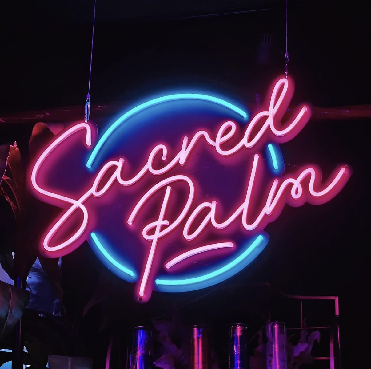 Sacred Palm bar neon signs in Columbus